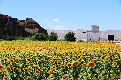 生存恐怖游戏《远征零点》试玩demo上线 3月24日发售