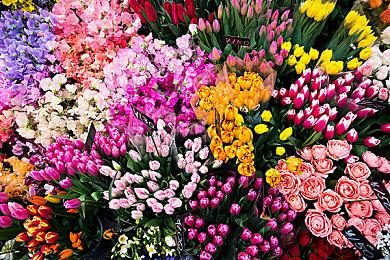 《博德之门3》8号补丁开启压力测试 为Xbox Series S提供分屏合作模式